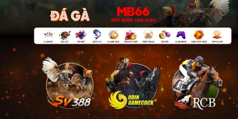 game go8 Bài Poker Hoàn Toàn Mỹ
