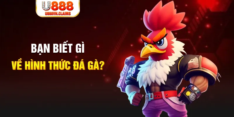 game go8 dự đoán xổ số miền trung