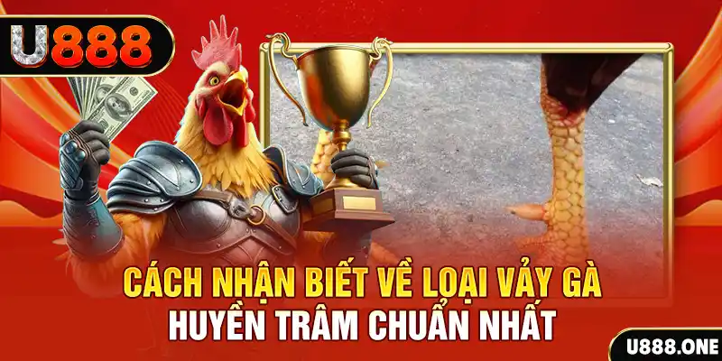 game go8 Chú hề Patty tuổi teen