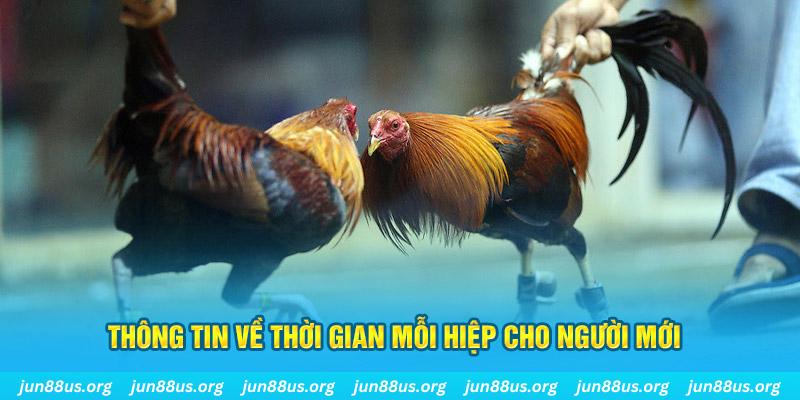 game go8 Long Hổ 2