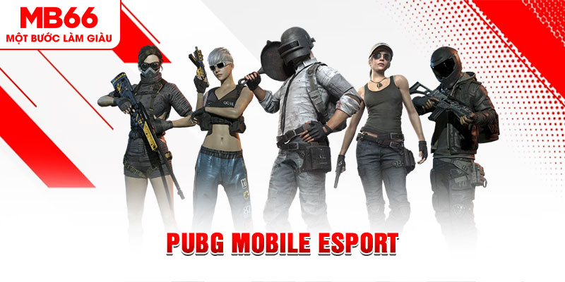 game go8 gà chọi c1 mới nhất