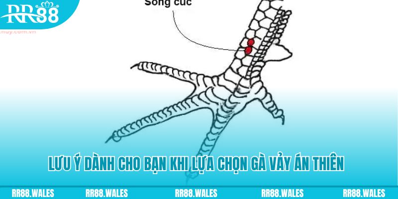 game go8 how to play roulette at casino