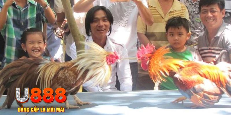 game go8 mơ thấy nổ hũ đánh con gì