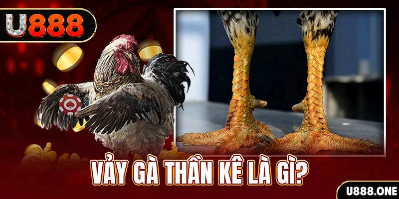 game go8 xổ số miền bắc thứ tư hàng tuần