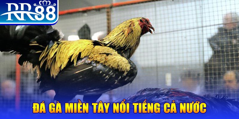 game go8 đăng nhập liêng miễn phí