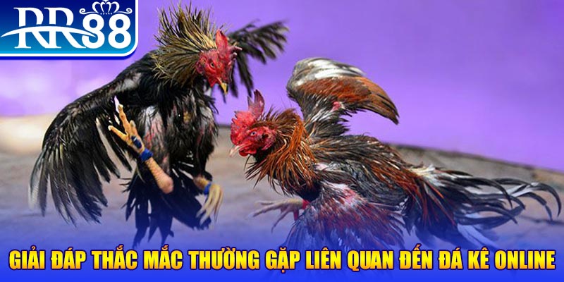 game go8 đăng nhập phỏm tặng tiền
