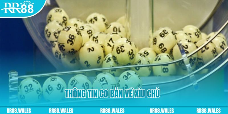 game go8 baccarat long bảo là gì