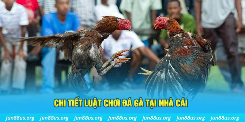 game go8 đá gà campuchia