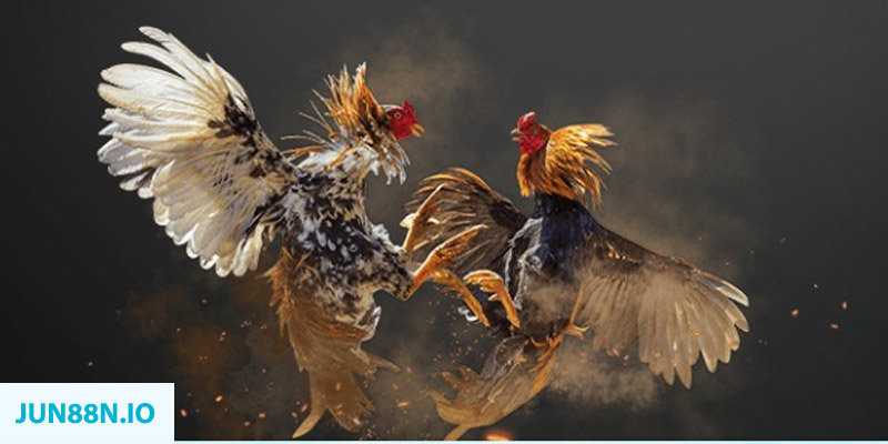 game go8 đăng nhập sòng bạc miễn phí