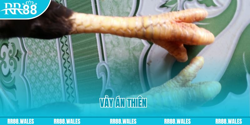 game go8 who wants to be a millionaire slot