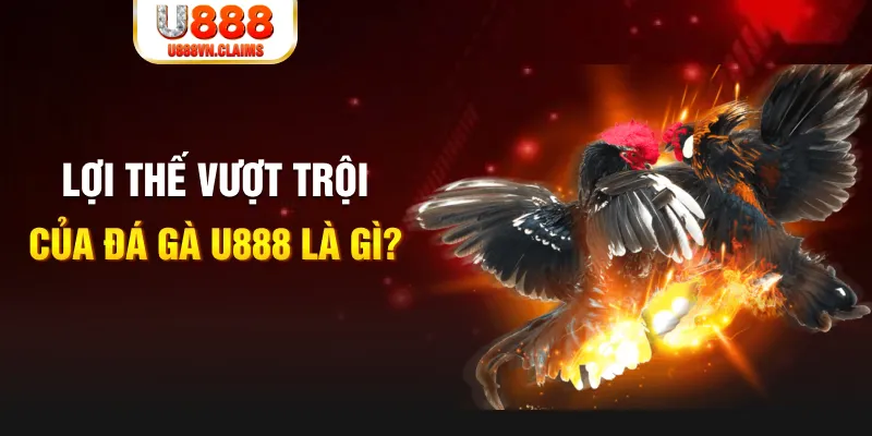game go8 888 slot là gì